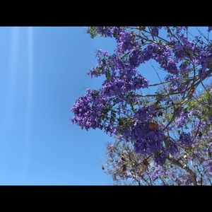 Meet your Posher, My